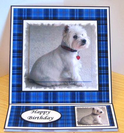 Sweet Munro by Katie Silver