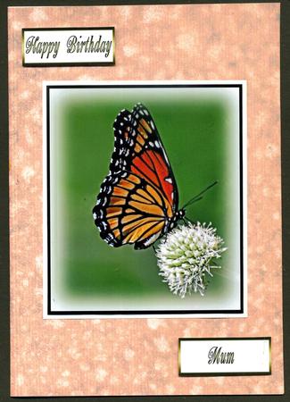 Butterfly Topper No 1 by Katie Silver