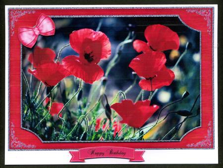 Pretty Red Poppies Quick Card by Katie Silver