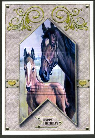 Happy Trails Card Topper 2 by Katie Silver