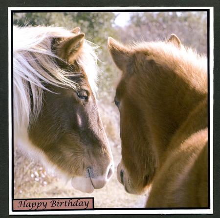 Wild Horses Topper by Katie Silver