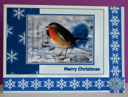 Blue Christmas Ribbons by Katie Silver