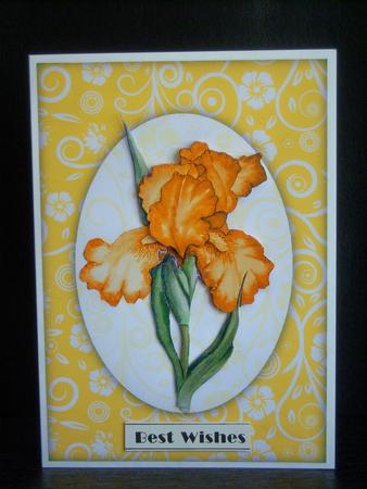 Bright Shades Flower Swirls Frame Effect Card Fronts Set 1 by Katie Silver