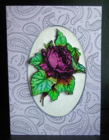 'metallic Paisley Embossed' Card Fronts Kit by Katie Silver