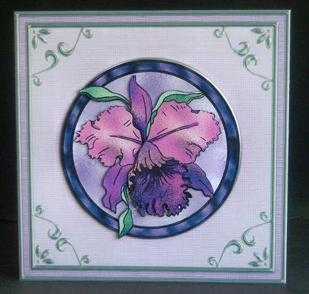 Sorbet Baby Square 'silver Metallic Frame' Card Fronts Kit by Katie Silver