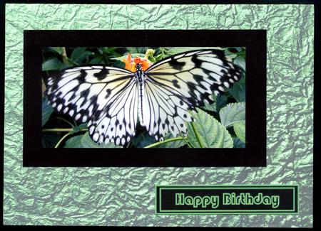 Duel - Metallic Crumpled Backing Paper - Jade by Katie Silver