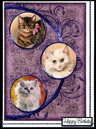 Vintage Cats Easy Cut Circular Swirl Frame Trio Card by Katie Silver