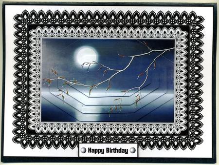 Monochrome Lace - Moonlit Branch by Katie Silver