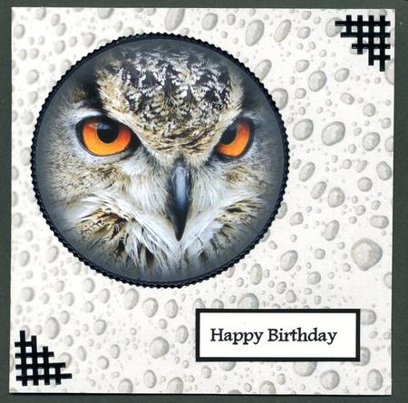 Duel Backing Paper - Rain Drops - Chocolate by Katie Silver