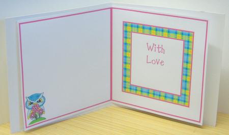 6x6 Owls on Tartan 2 Insert by Katie Silver