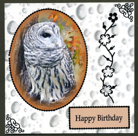 Duel - Silver Rain Drops Backing Paper by Katie Silver