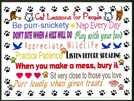 Cat Lessons for People - Text Art by Katie Silver