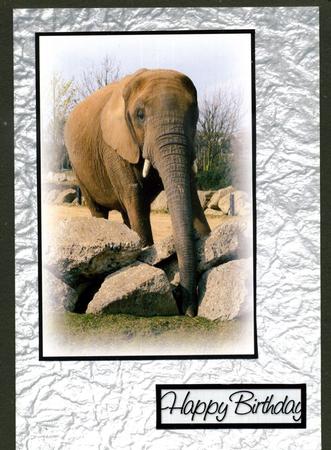 Duel - Metallic Crumpled Backing Paper - Pale Silver by Katie Silver