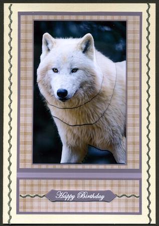 White Polar Wolf by Katie Silver