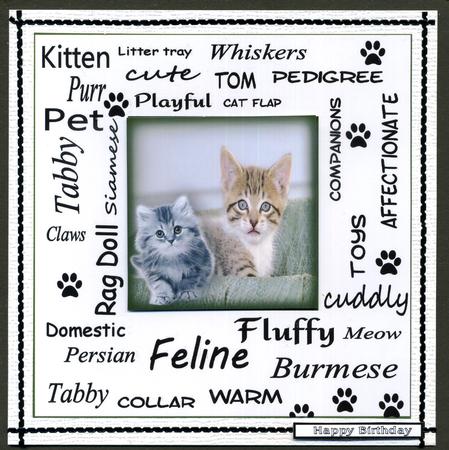 Urban Art Kittens by Katie Silver