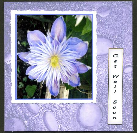 Duel - Glass Bubbles - Dusky Purple Backing Paper by Katie Silver