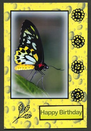Duel - Yellow Rain Drops Backing Paper by Katie Silver