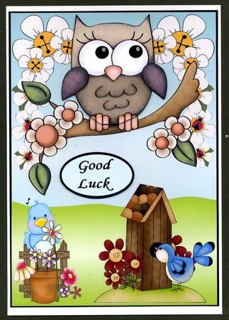 A Wise Old Bird by Katie Silver