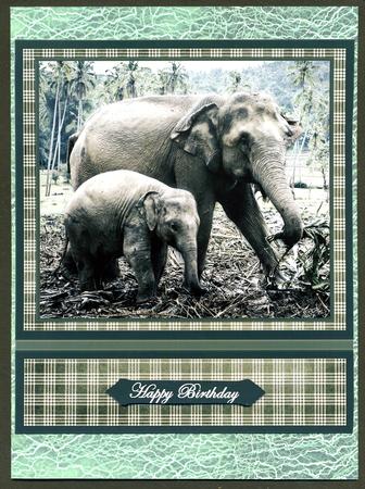 Elephant Mum and Calf by Katie Silver