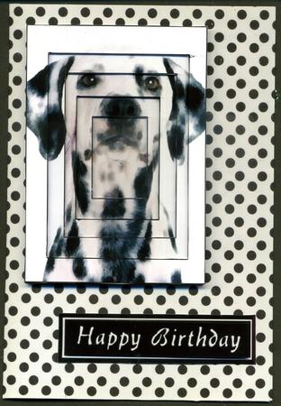 Black Polka Dots Background (white) by Katie Silver