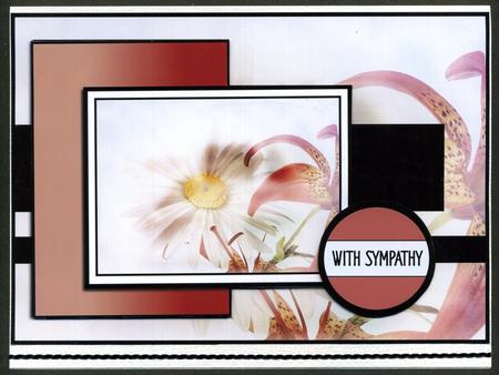 Sympathy Sketch by Katie Silver