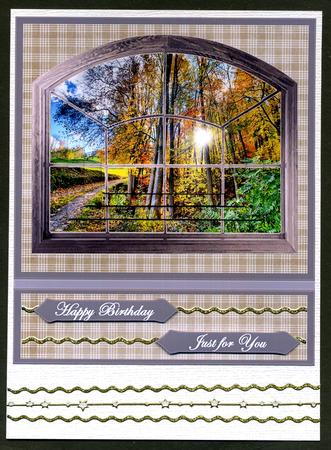 Autumn Trees Through the Window by Katie Silver