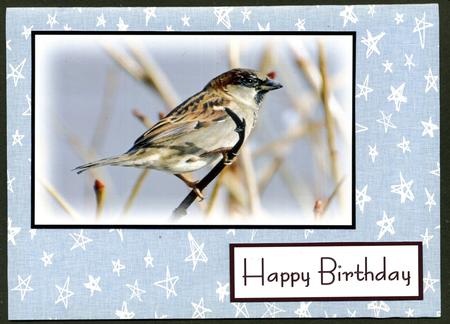 Ethereal Fairy ' Morning ' Backing Paper by Katie Silver