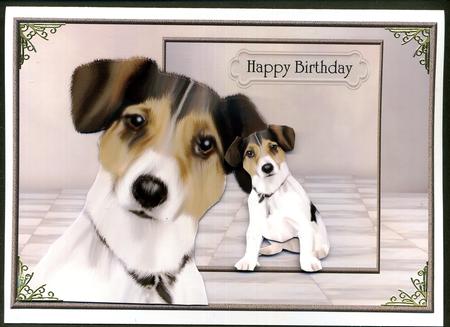 Male Card Jacky by Katie Silver