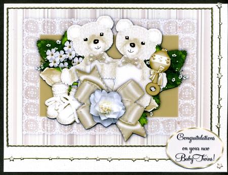 New Baby Twins by Katie Silver