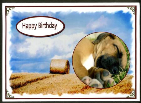 Happy Retirement by Katie Silver