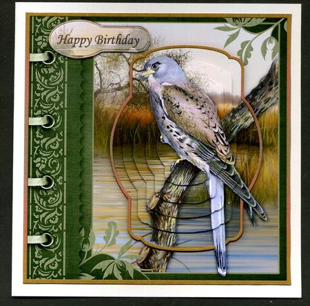 An Eye for the Birds! Kestrel Card Topper & Pyramage by Katie Silver