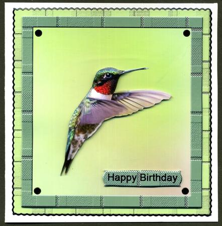 Sweet Hummingbird by Katie Silver