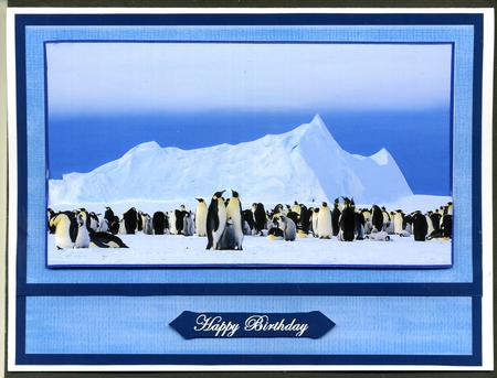 Happy Feet Here We Come by Katie Silver