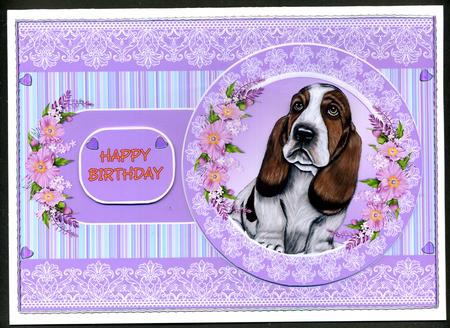 Beautiful Basset by Katie Silver