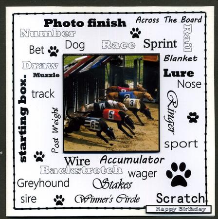 Greyhound Racing Urban Art by Katie Silver