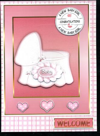 Crib New Baby Girl by Katie Silver