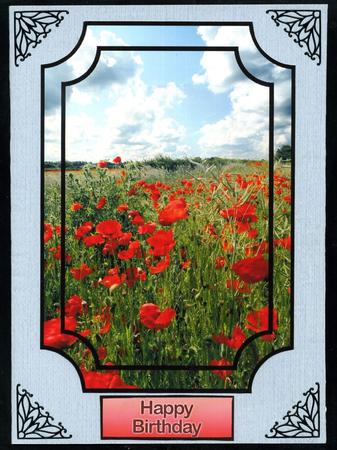 Scenic Toppers by Katie Silver
