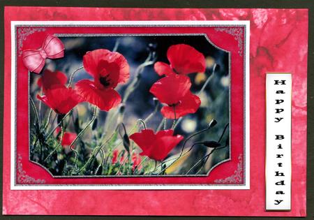Duel Backing Paper - Ink Splatter - Cranberry by Katie Silver