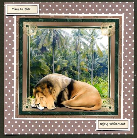 Lions Sleeps Tonight by Katie Silver
