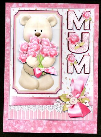 Teddy Has Flowers for Mum by Katie Silver