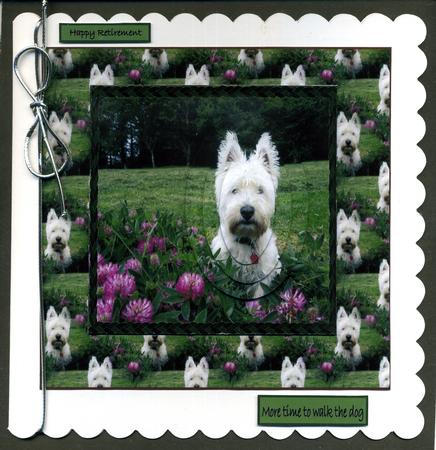 Murphys in Clover by Katie Silver