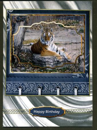 Tiger Relaxing Card with Shaped Layers by Katie Silver