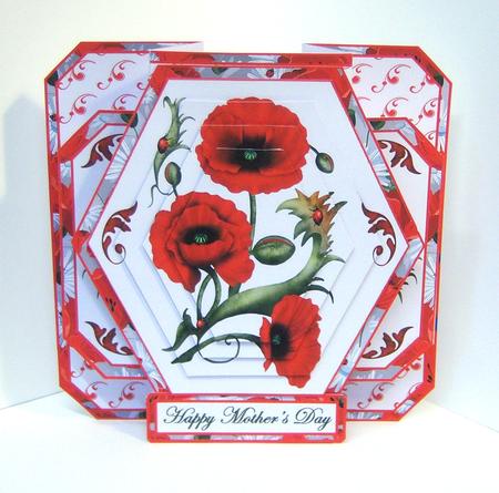 3D Double Pop-out - Poppies by Katie Silver