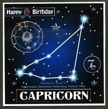 Star Sign Capricorn 8x8 by Katie Silver