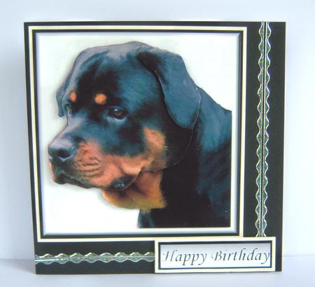 Rottweiler Portrait 3D Decoupage by Katie Silver