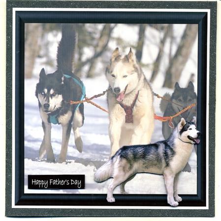 Huskies Out of the Frame by Katie Silver