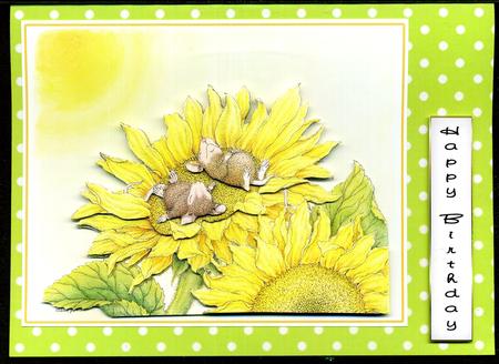 Little Duck in Easter Egg Background by Katie Silver
