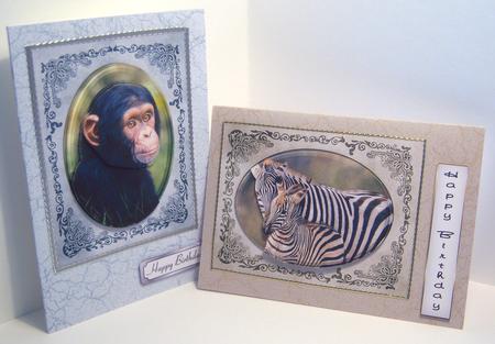 Zebras & Chimp - Wildlife Duodecoupage by Katie Silver