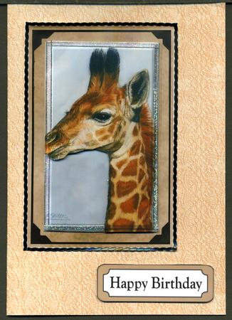 Polar Bear & Giraffe - Wildlife Duodecoupage by Katie Silver
