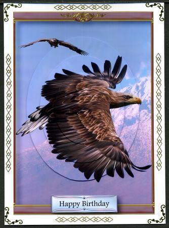 To Glide and to Soar by Katie Silver